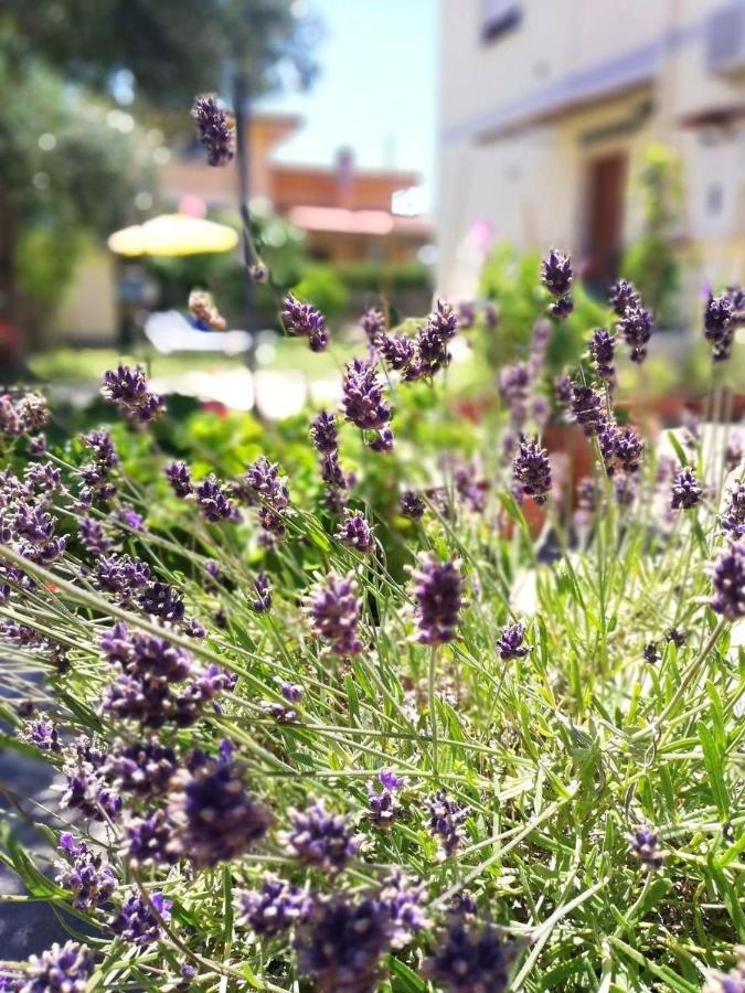 A Casa Di Iole Lägenhet Fiumicino Exteriör bild
