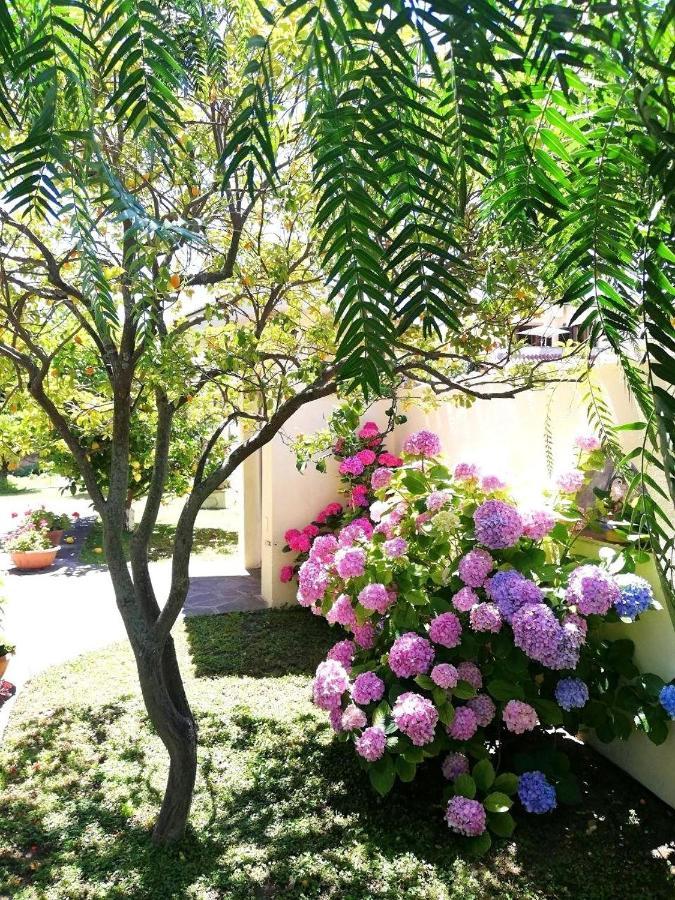 A Casa Di Iole Lägenhet Fiumicino Exteriör bild