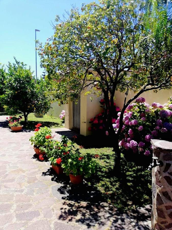 A Casa Di Iole Lägenhet Fiumicino Exteriör bild